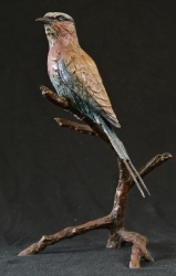 Lilac-breasted Roller