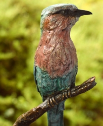 Lilac-breasted Roller