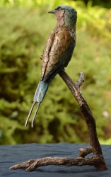 Lilac-breasted Roller