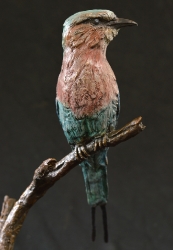 Lilac-breasted Roller