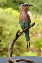 Lilac-breasted Roller