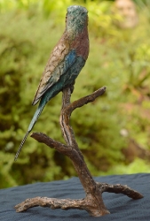 Lilac-breasted Roller