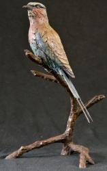 Lilac-breasted Roller