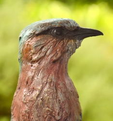 Lilac-breasted Roller