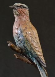 Lilac-breasted Roller