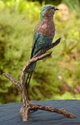 Lilac-breasted Roller