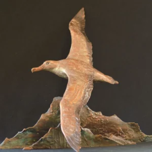 Wandering Albatross - Maquette