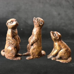 Meerkats - Neighbourhood Babies