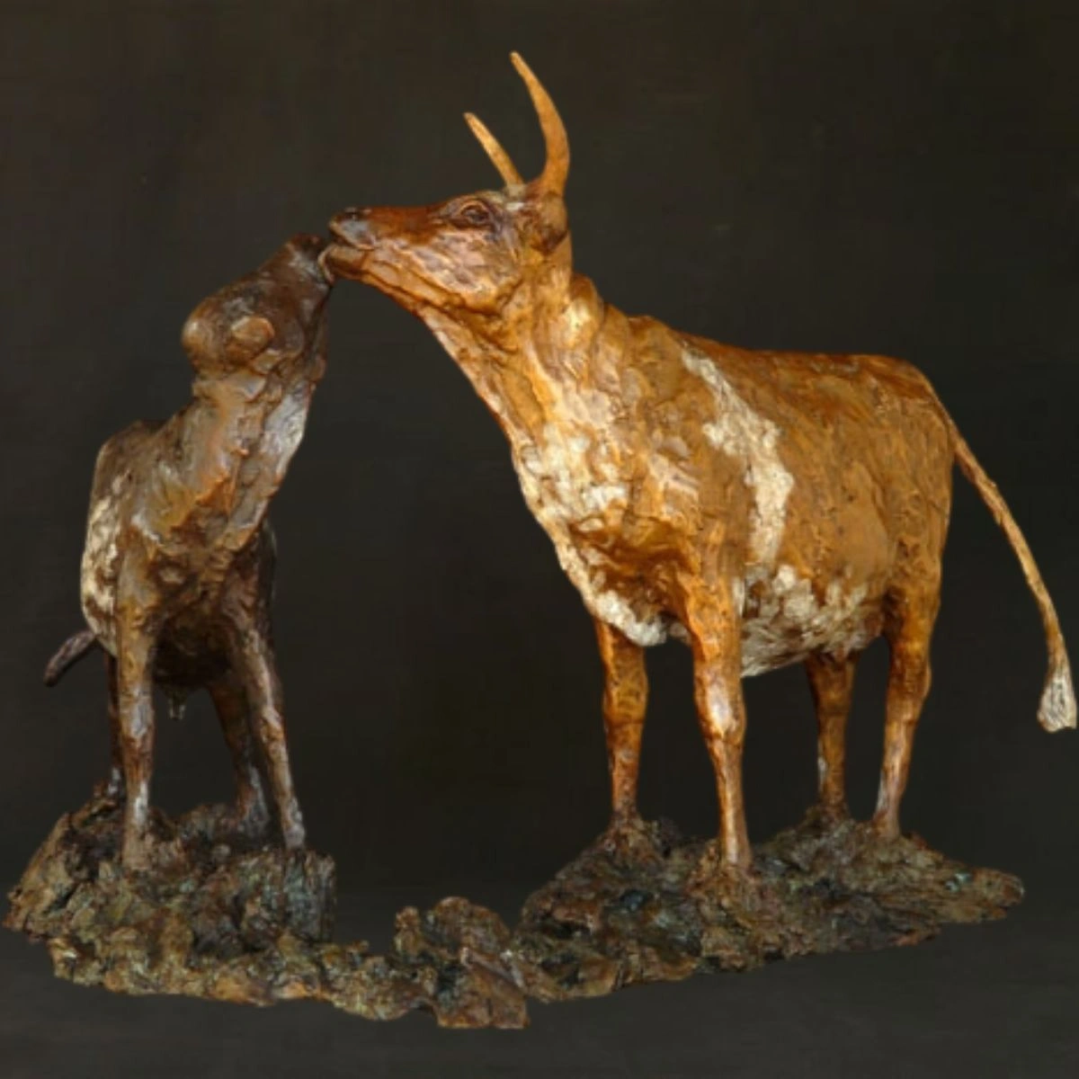 Nguni Cow and Calf