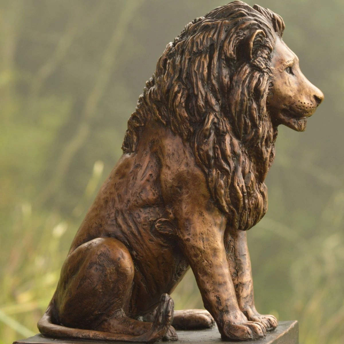 iBhubesi - McKenzie House, Hilton College Maquette