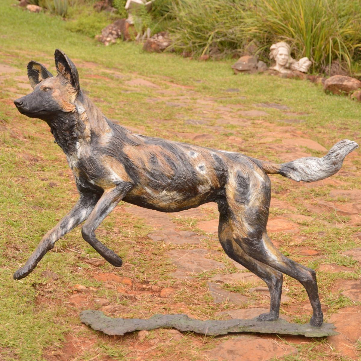 Bruce - Wild Dog (Life-sized)