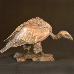 Cape Vulture - Mini