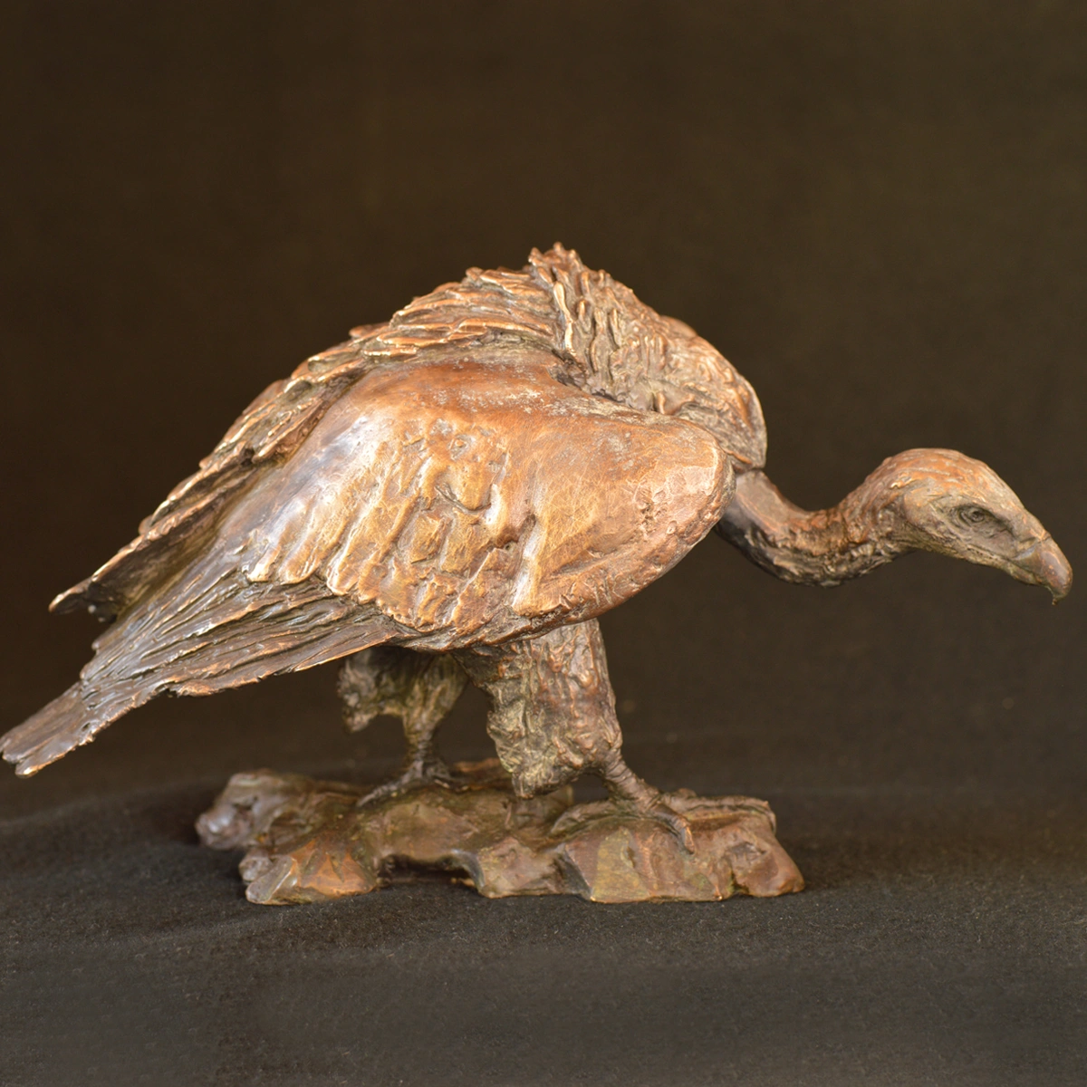 Cape Vulture - Mini