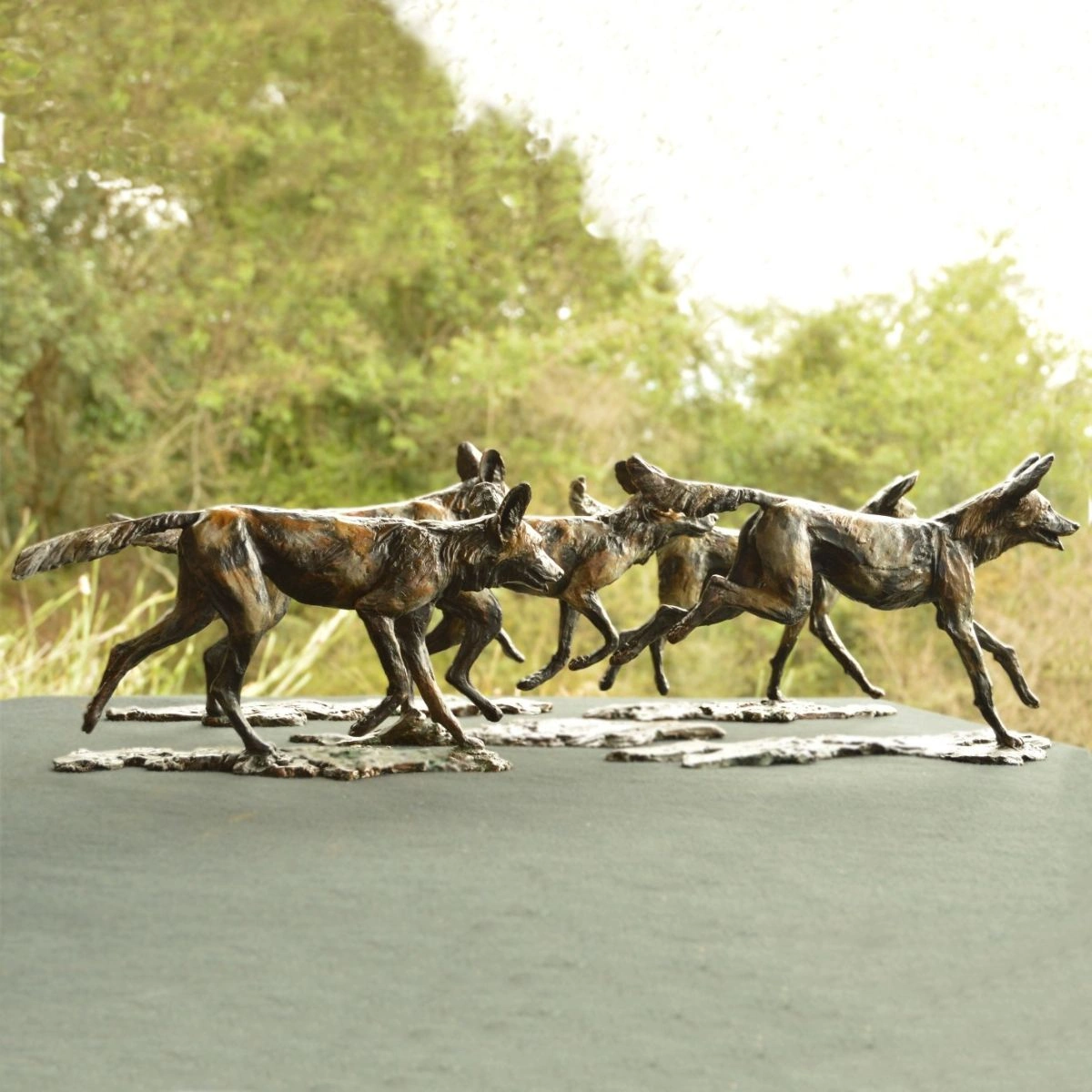 Famous Five - Wild Dogs