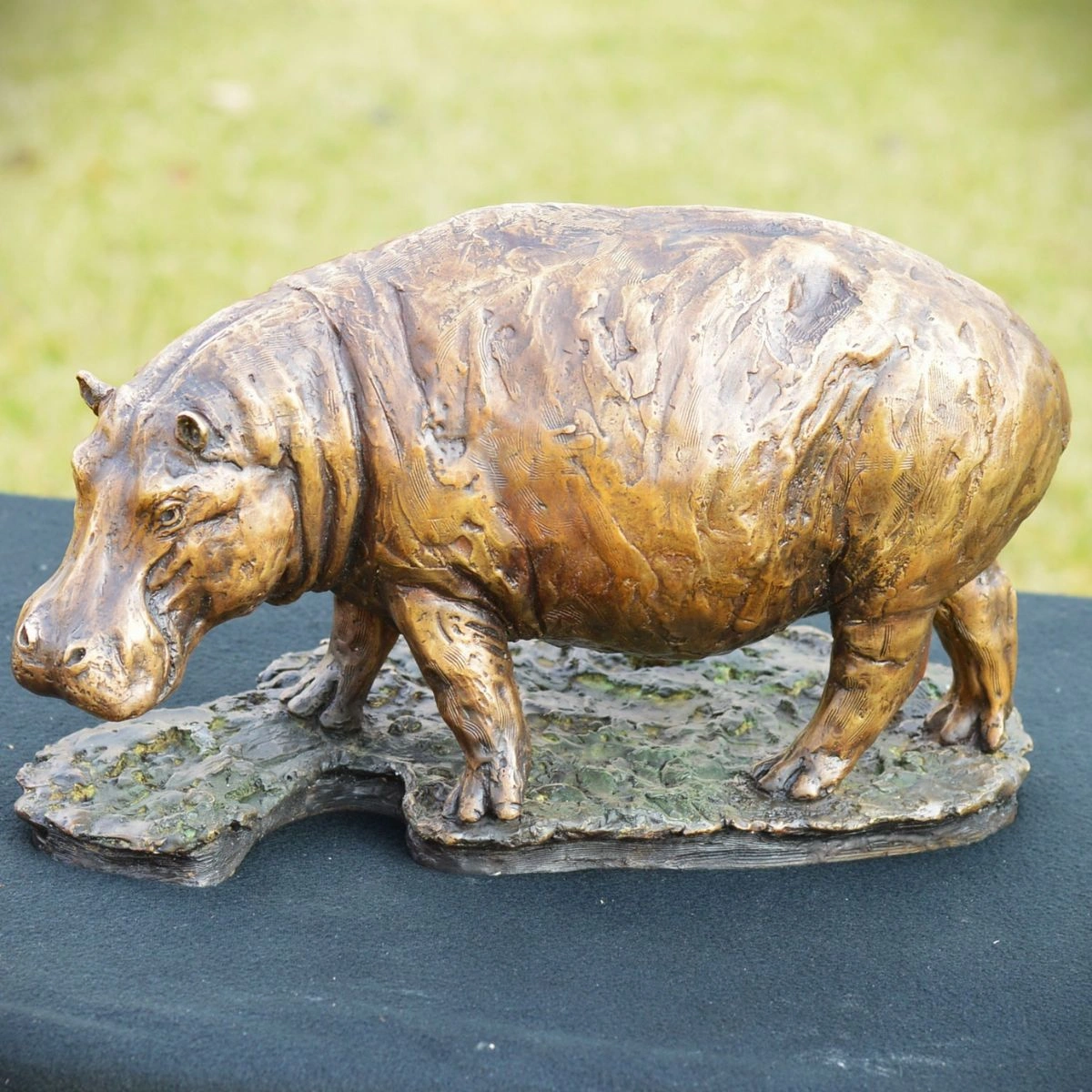 Hippo