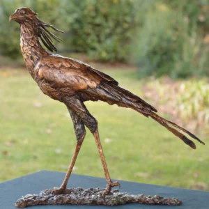 Hunter - Secretary Bird