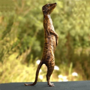 Meerkats - Neighbourhood Loner