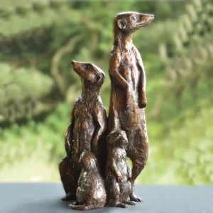 Meerkats - Neighbourhood Family