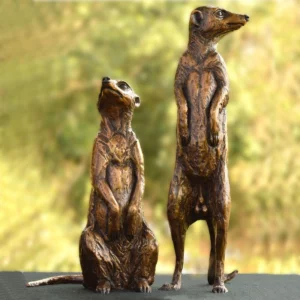 Meerkats - Neighbourhood Couple