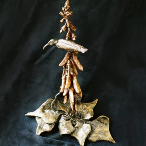 Amethyst Sunbird on Erythrina Humeana Flower