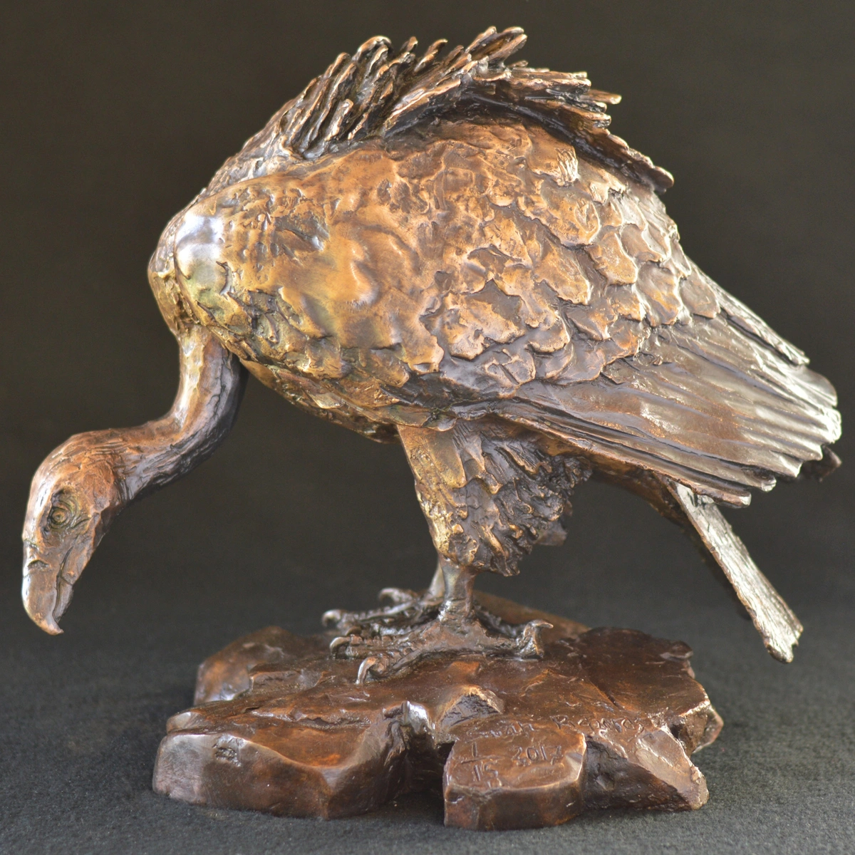 Cape Vulture - Maquette