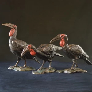 Ground Hornbill - Small x3