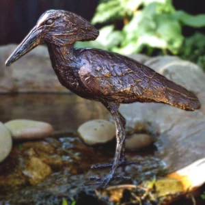 Hamerkop