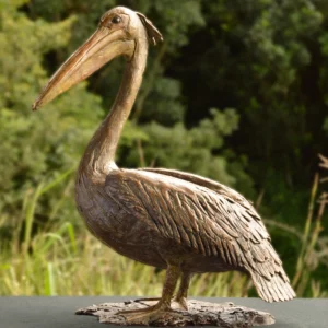 Pelican