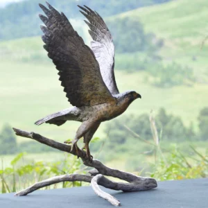 Peregrine Falcon (Life-sized)