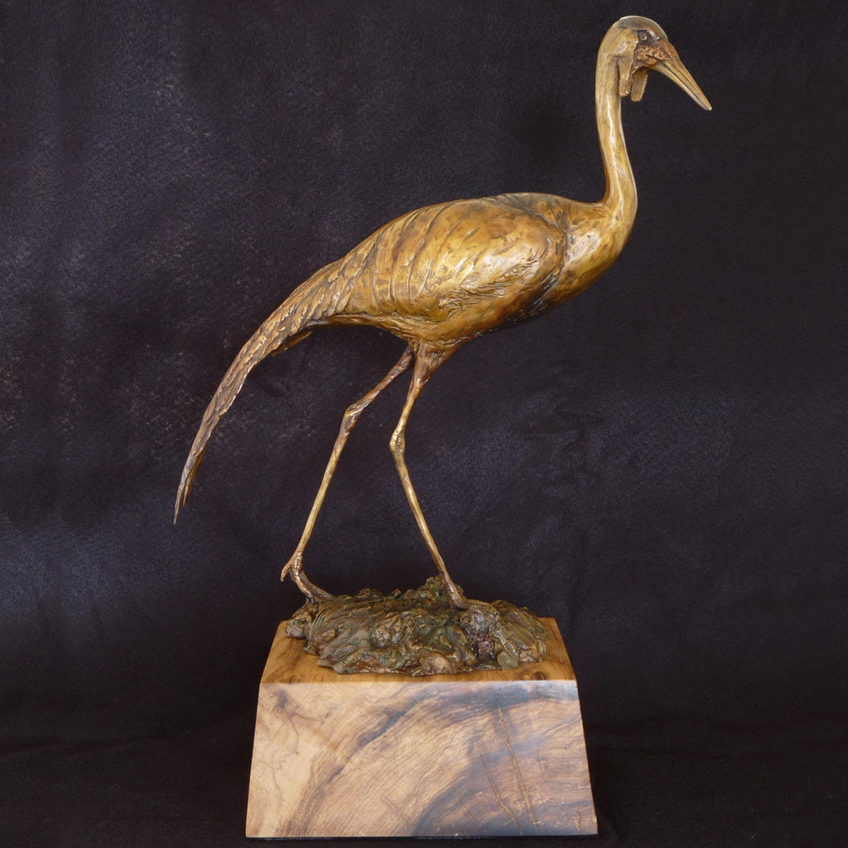 Wattled Crane - Maquette