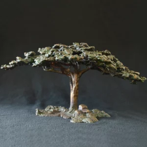 Acacia Tree - Flat Crown