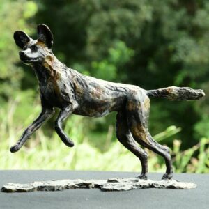 Argos - Wild dog male