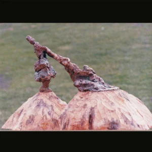 Iris Playing with Clouds